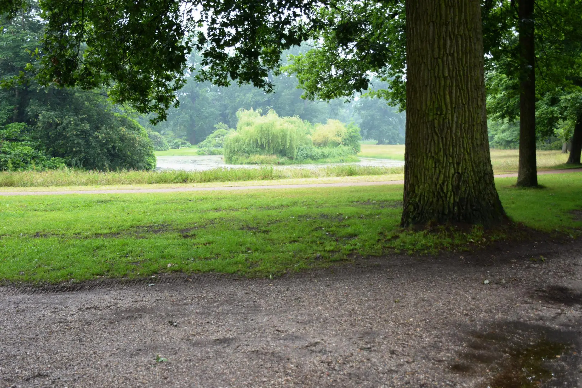11_Amicitia_avondvierdaagse_album_Avondvierdaagse_202208031530241