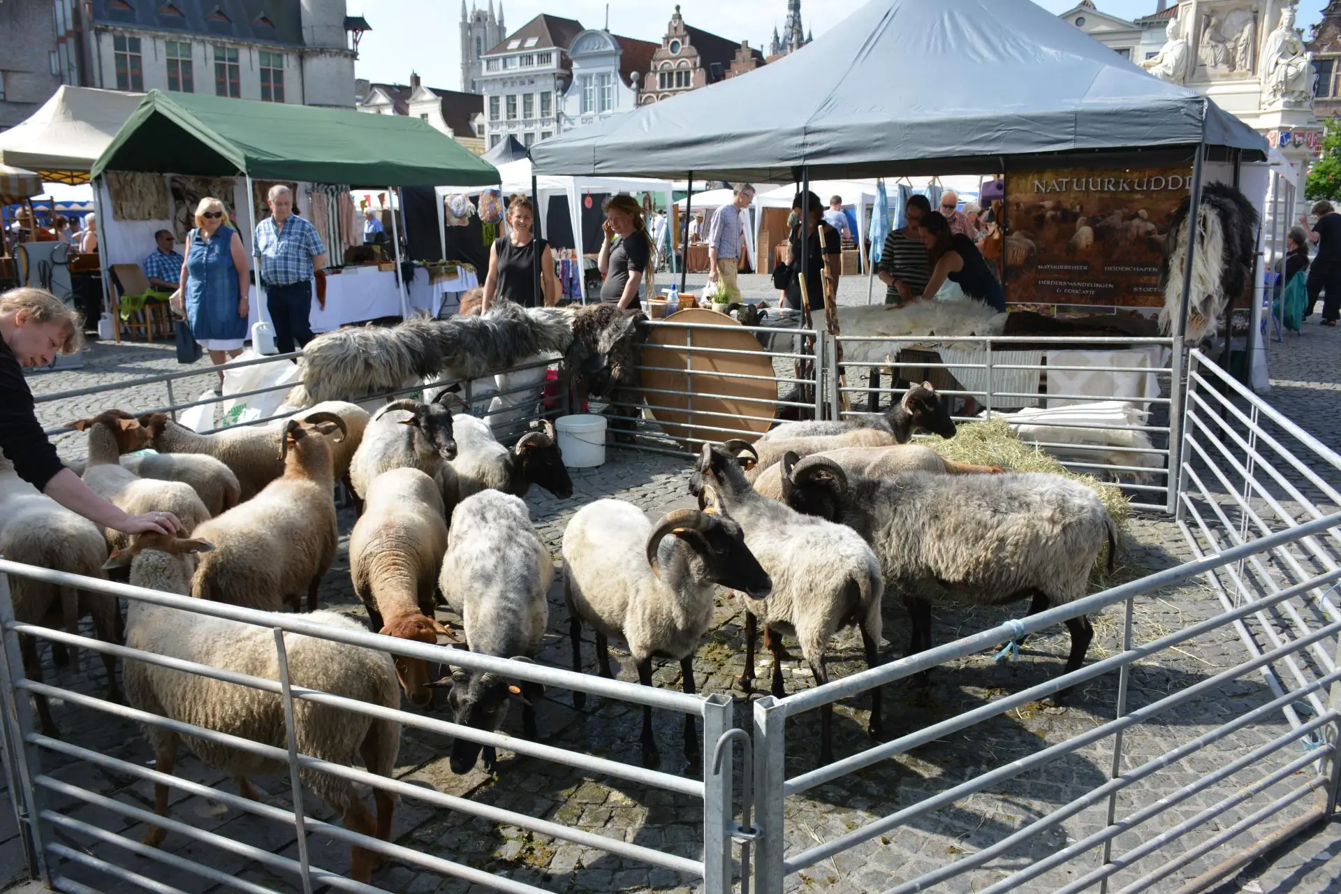 D001_Gent_Vrijdagmarkt_album_Amicitia_concertreis_Gent_Dag_4_202208031525271