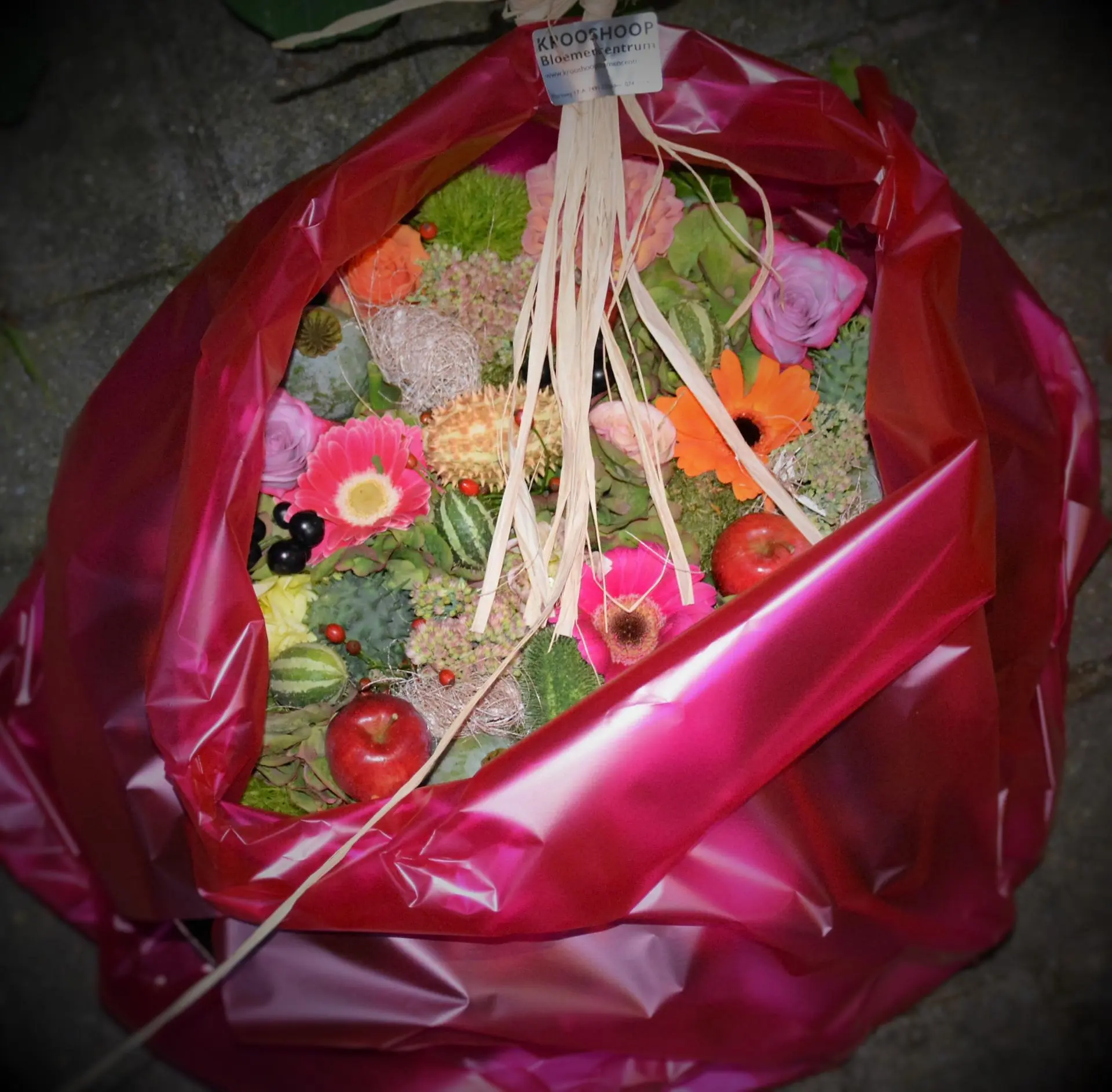 40_Amicitia___bruidspaar_Wilmink_album_Bruidspaar_Wilmink_202208031459341