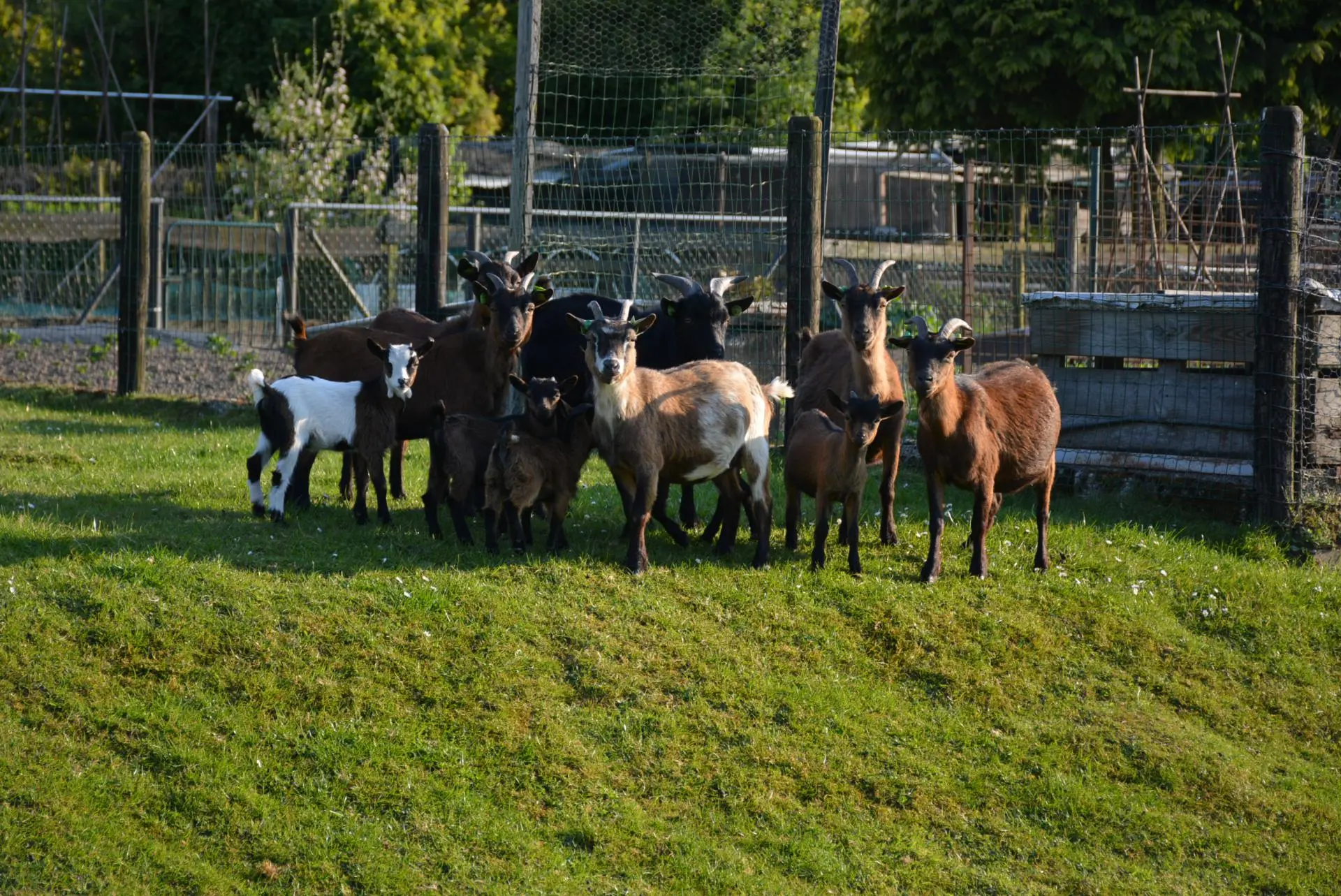 03_Amicitia___bruidspaar_ten_Broeke_album_Bruidspaar_ten_Broeke_202208031455581