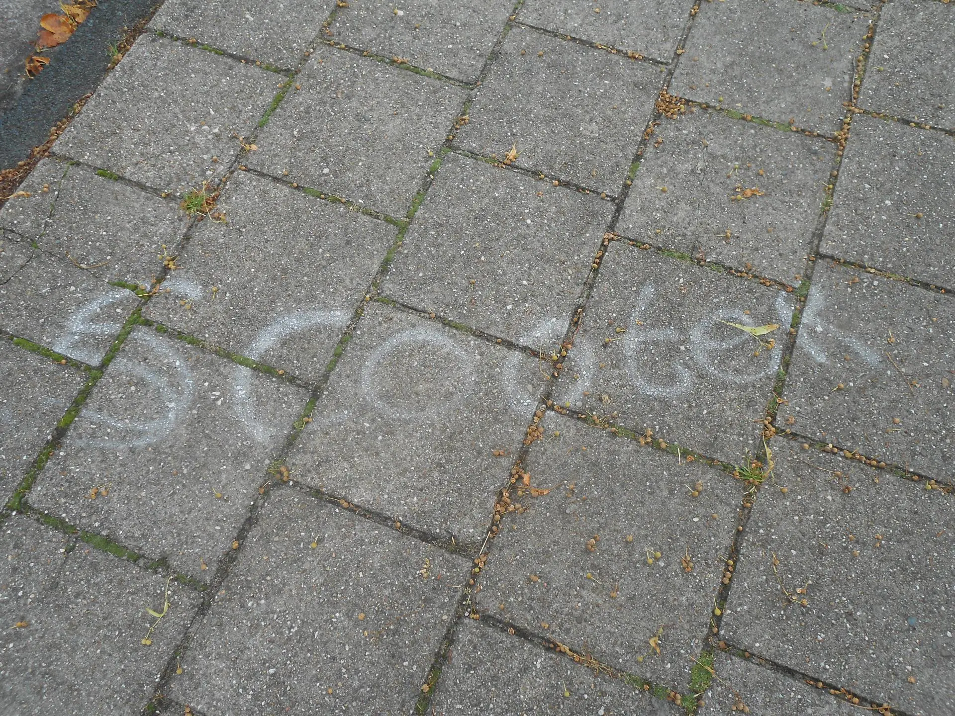 Stoepkrijt_je_teamnaam_album_Jeugdactiviteit_202208031403181