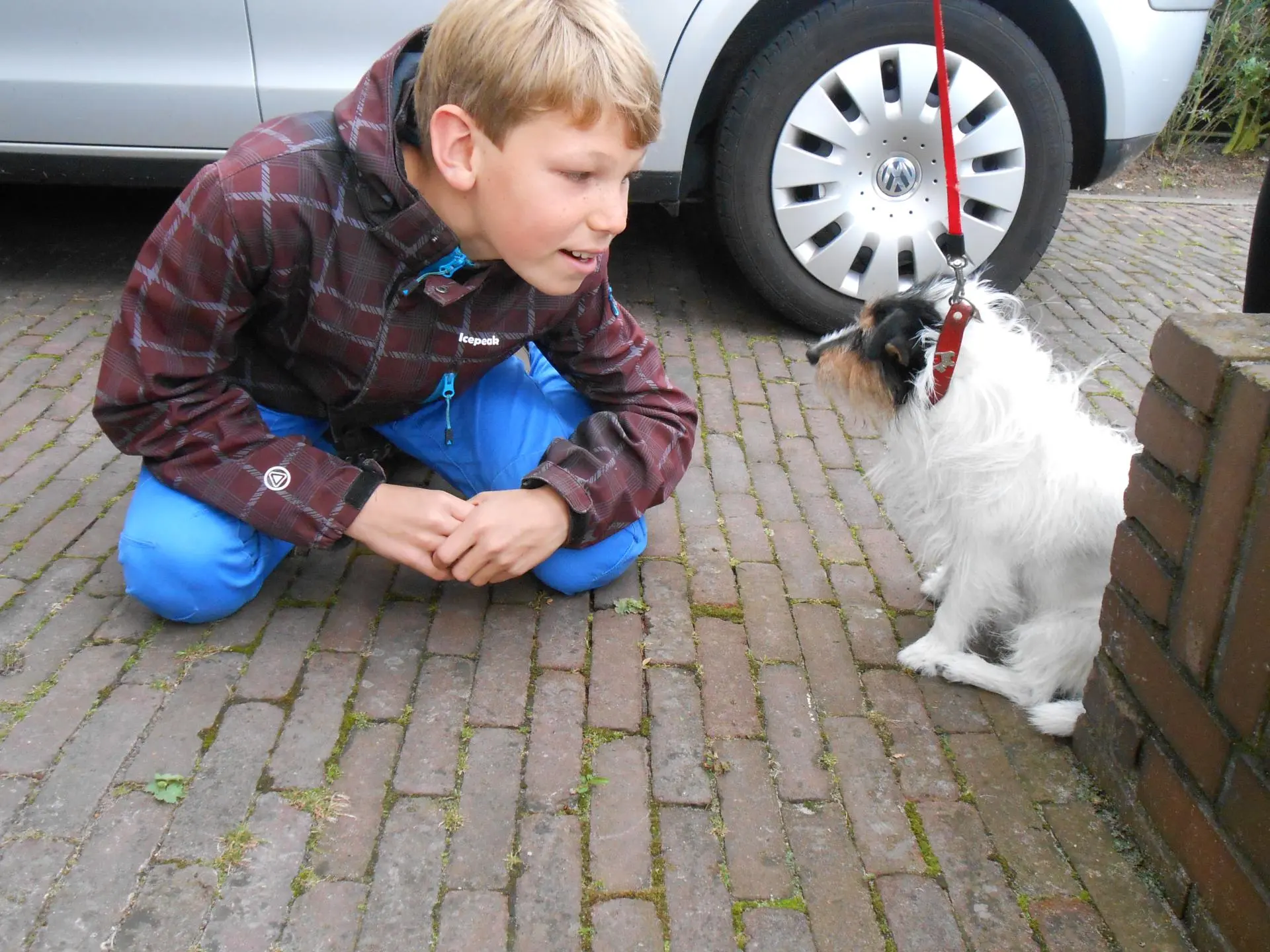 Selfie_met_een_hond_album_Jeugdactiviteit_202208031403171