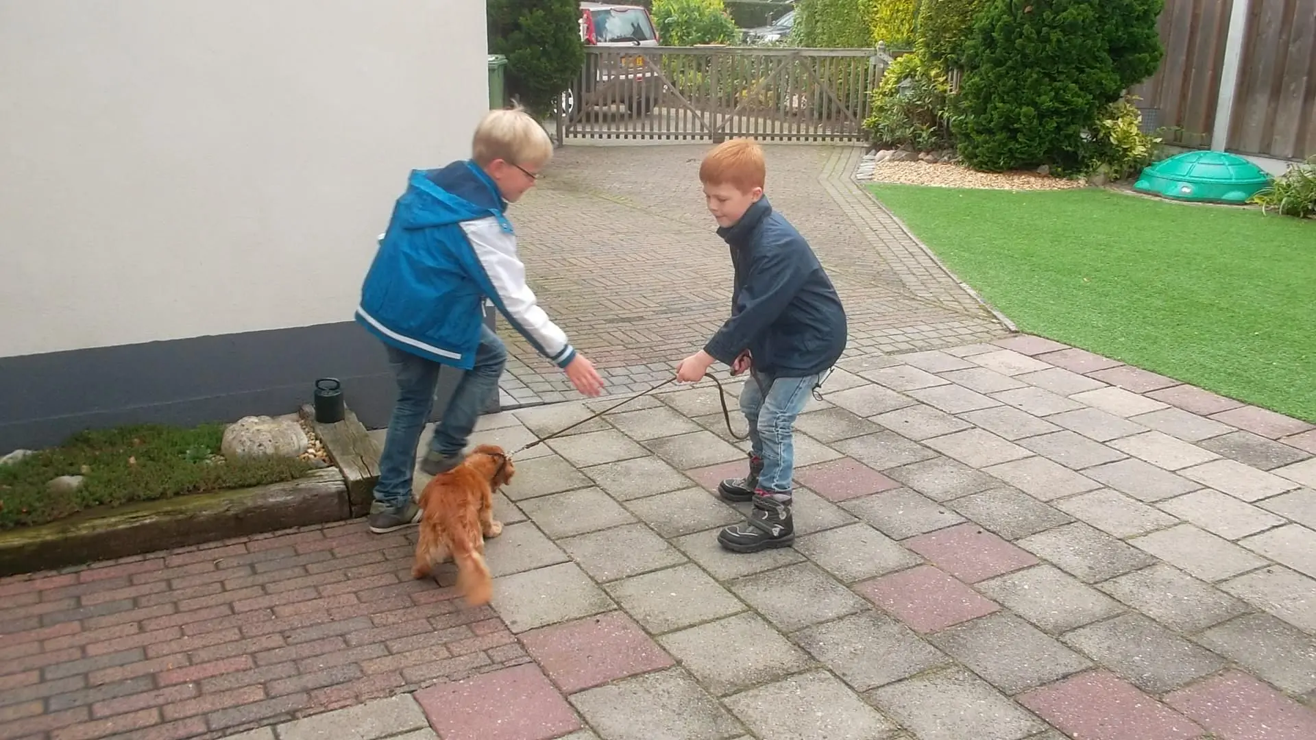 team_a_laat_een_hond_uit_album_Jeugdactiviteit_202208031403211
