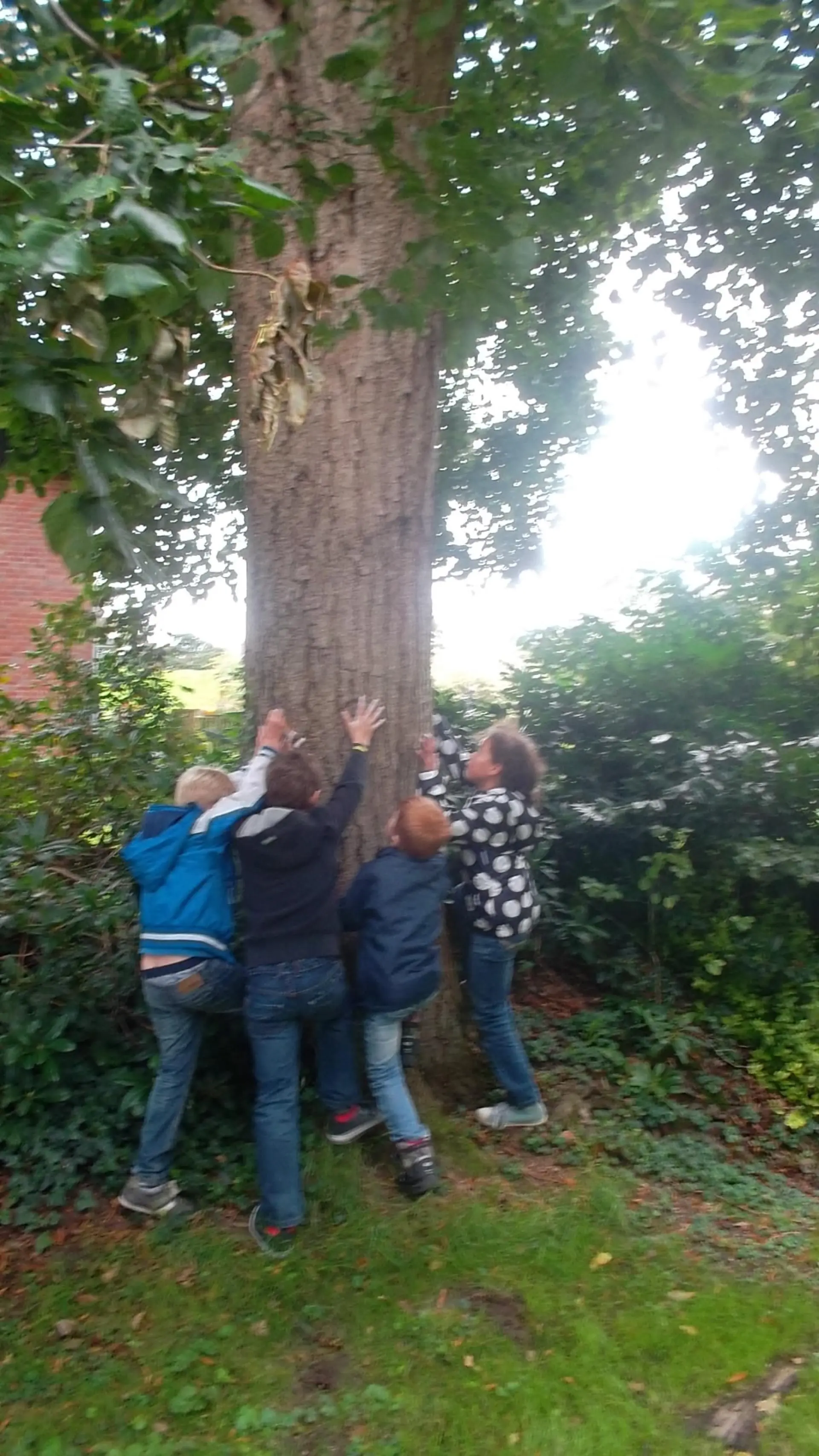 Team_a_klim_in_een_boom_album_Jeugdactiviteit_202208031403211