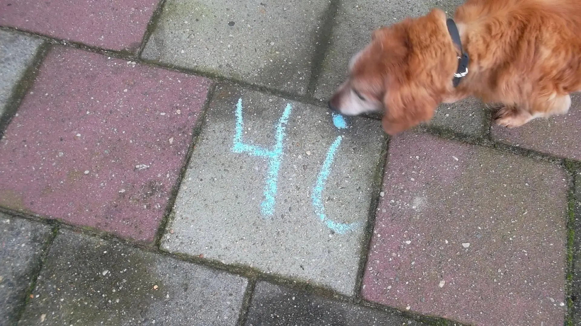team_a_stoepkrijt_album_Jeugdactiviteit_202208031403221