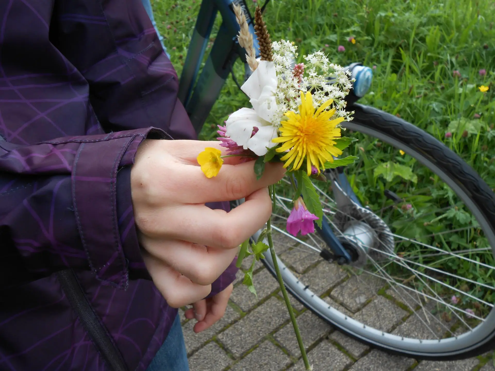 Verzamel_10_bloemen_album_Jeugdactiviteit_202208031403311