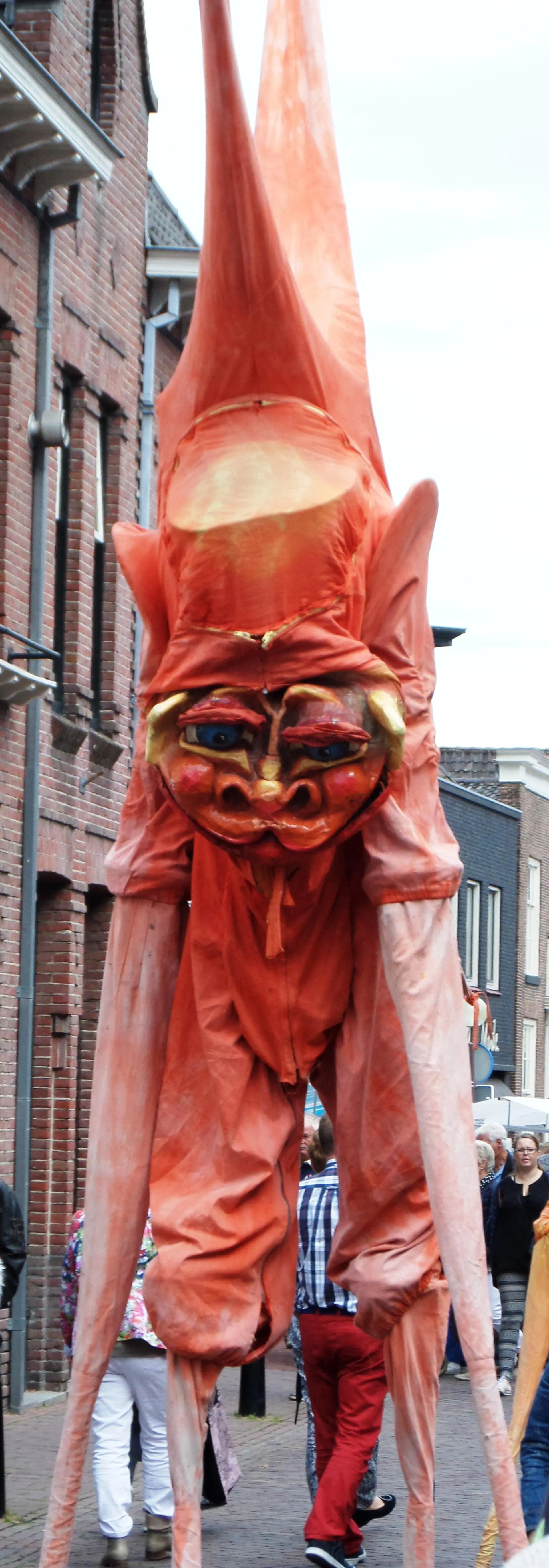 01_Amicitia_cultureel_straatfestival_album_Straatfestival_202208031400561