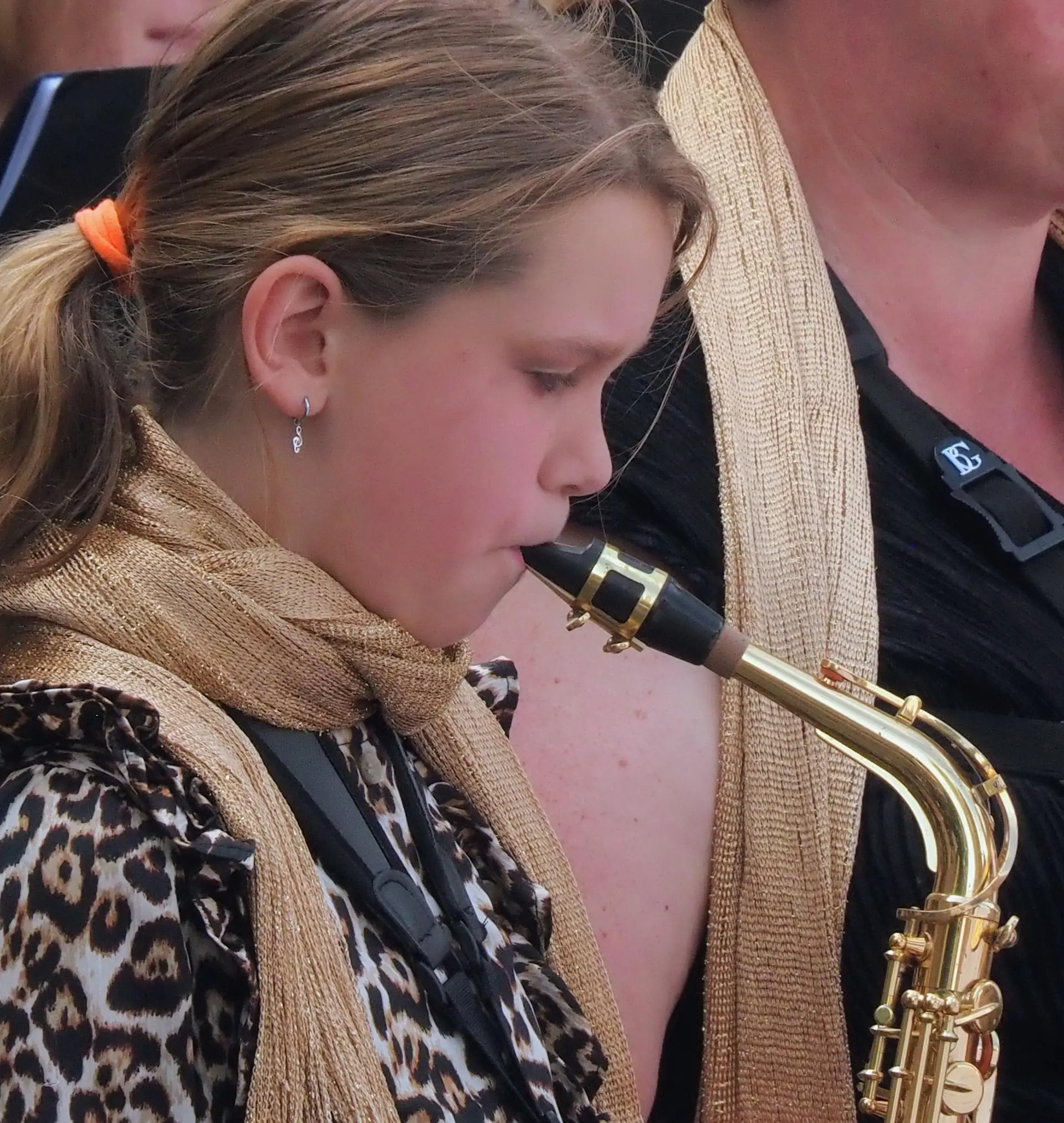 P5260059~2_album_Voorjaarsconcert_202501042224391
