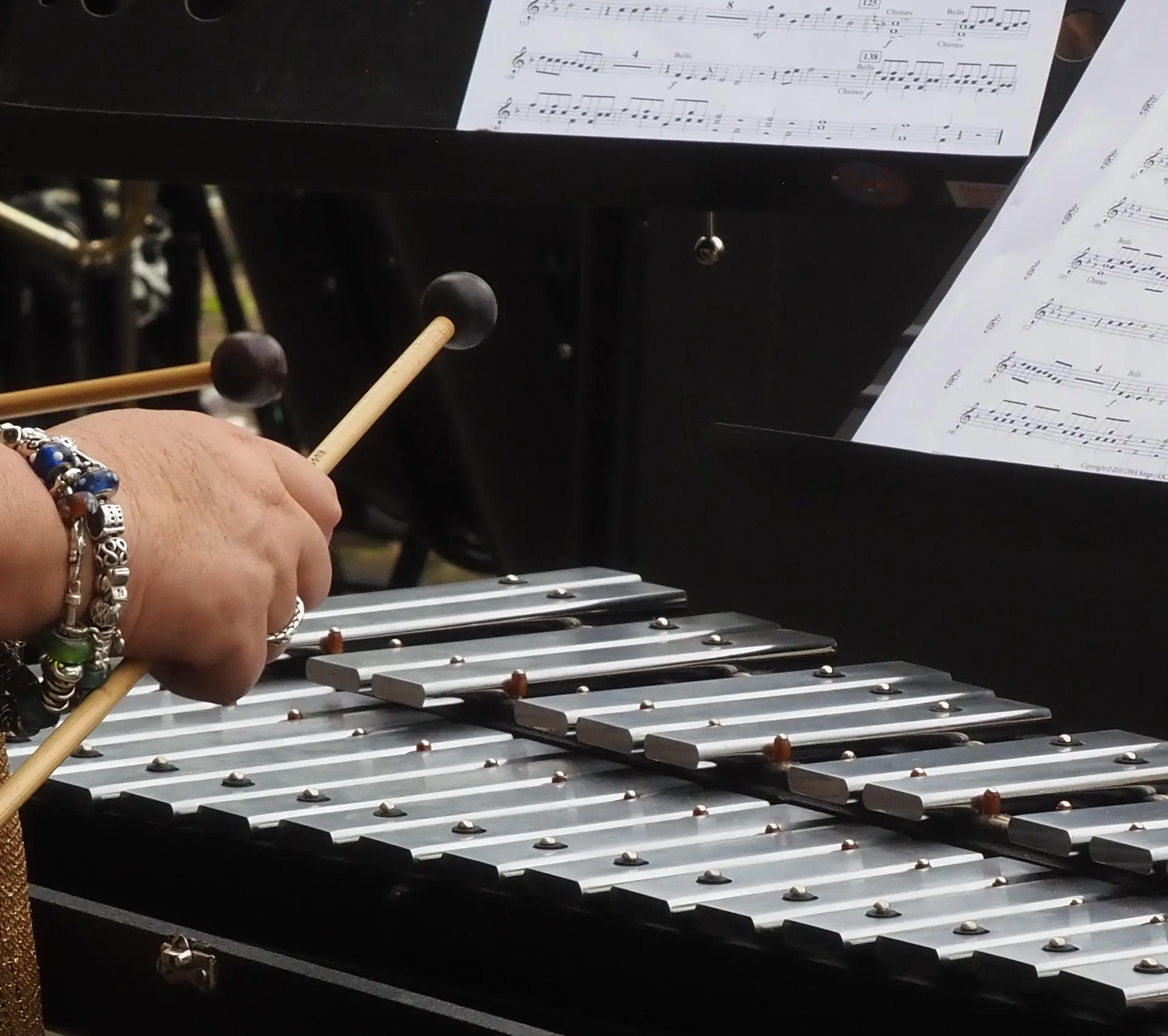 P5260264~2_album_Voorjaarsconcert_202501042224531