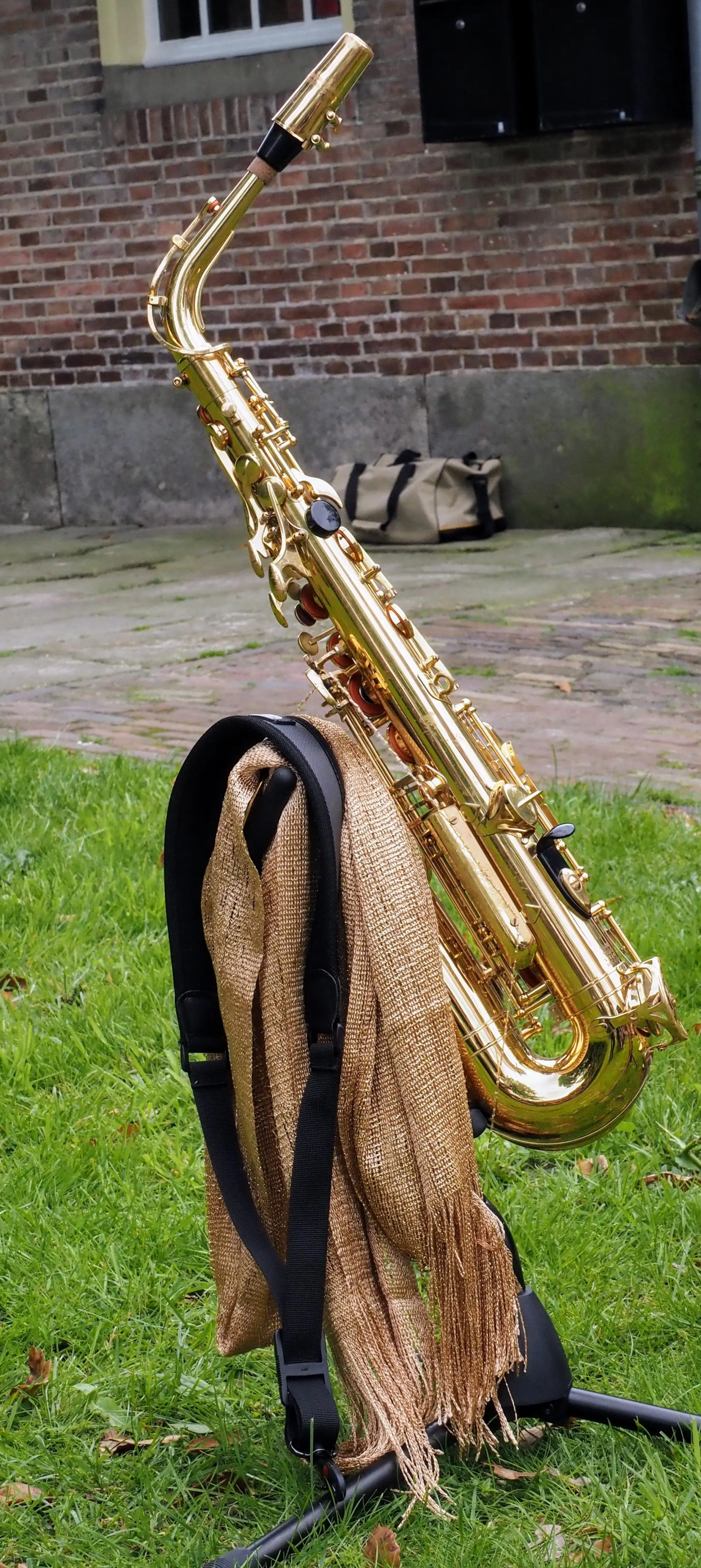 P5260445~2_album_Voorjaarsconcert_202501042224591