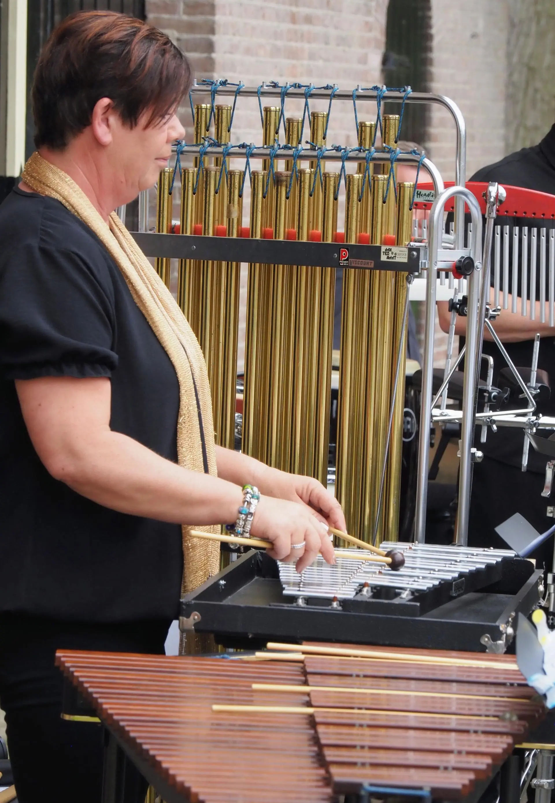 P5260447~2_album_Voorjaarsconcert_202501042225001