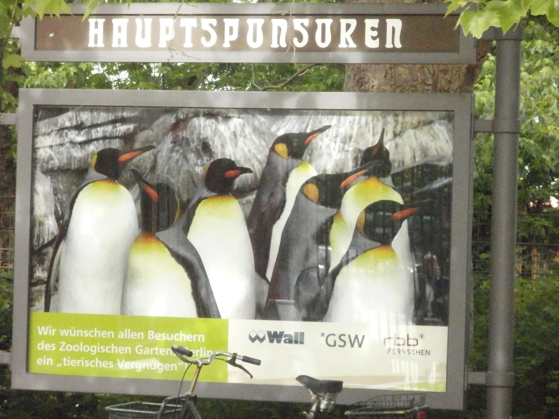 P5180201_album_Berlijn_202306181155571
