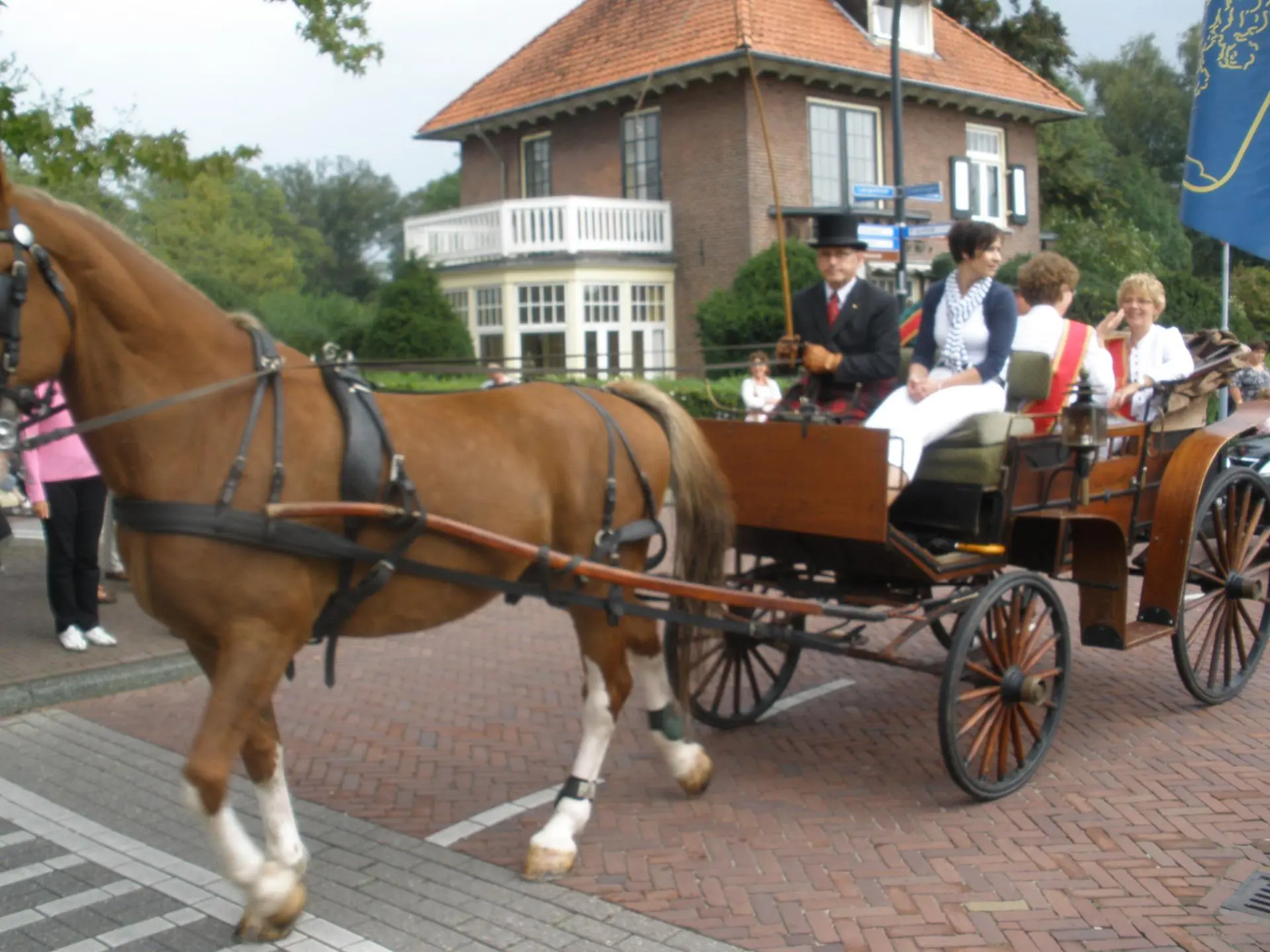 P9040177_album_Schuttersoptocht__202208031334051