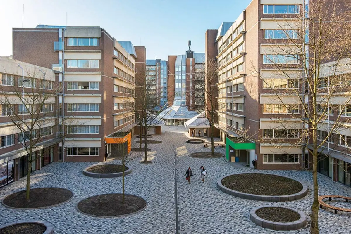 Project afbeelding