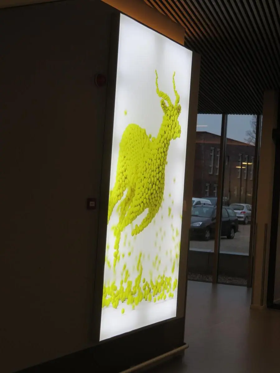 Project afbeelding