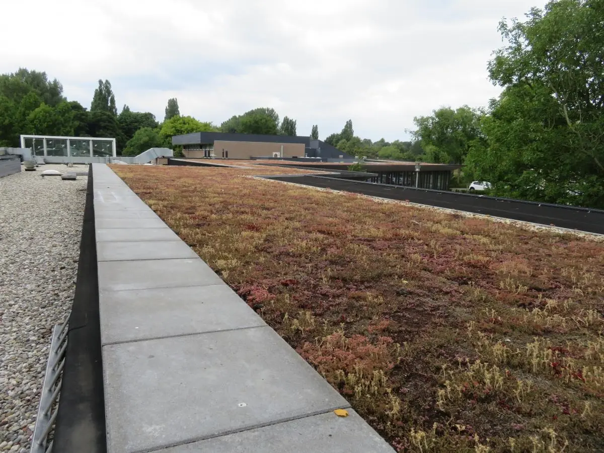 Dienstencentrum Ipse de Bruggen Nieuwveen, revitalisering